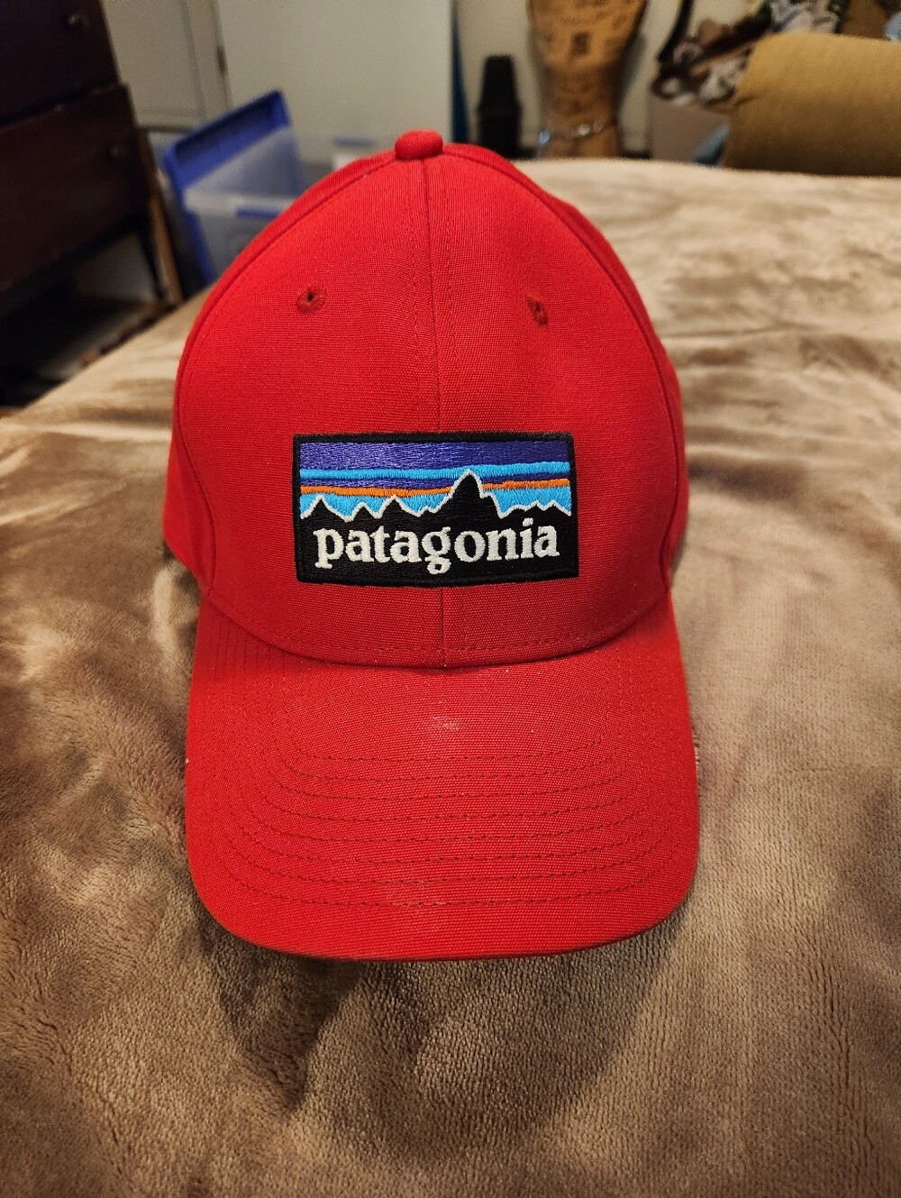 Patagonia Red Logo Cap